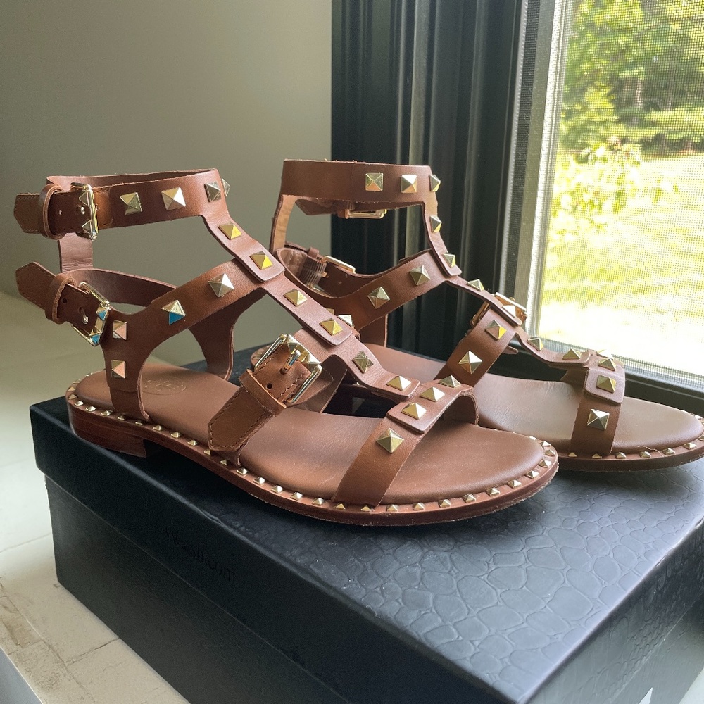 Ash Pacific Gladiator Gold Studded Strappy Brown Leather Sandals Size 36 6 w/Box